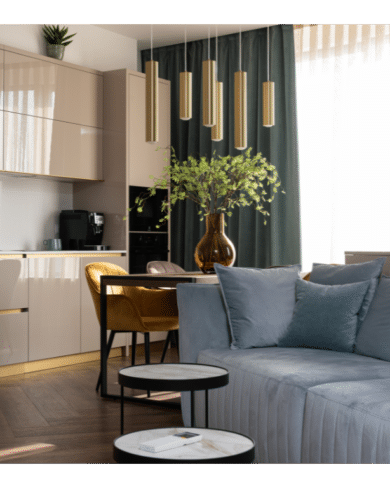 location saisonniere Strasbourg
